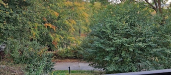 Schöne Ferienwohnung am Kellerwald mit Balkon und Garten - Ferienhaus Buml