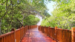 Un ponte di legno con una superficie rossa, immerso nel verde di alberi rigogliosi.