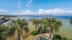 A coastal view with a marina, palm trees, and a clear blue sky.