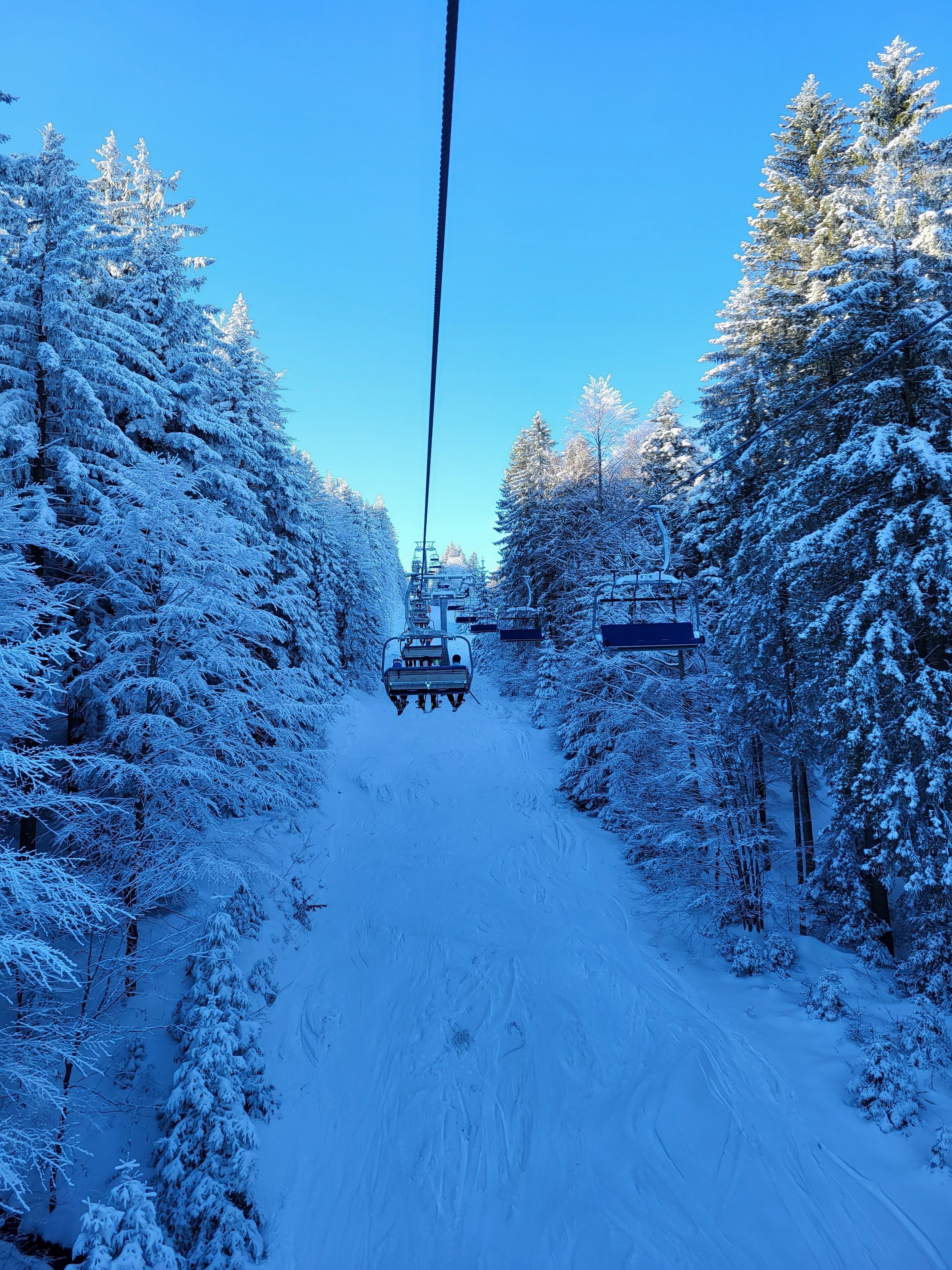 Skidåkning och snöaktiviteter