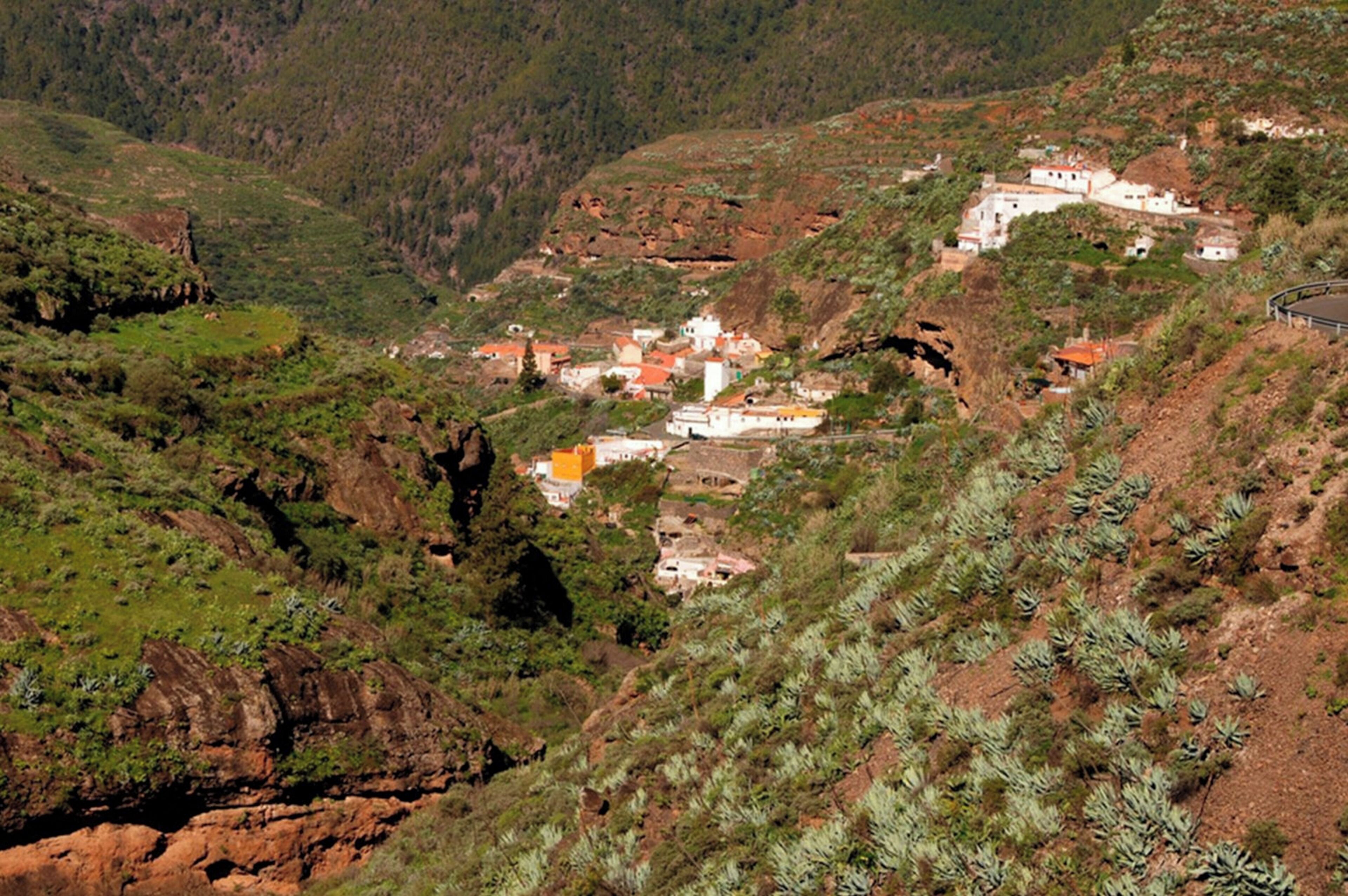 A hillside village with traditional buildings, terraced fields, and a winding road.