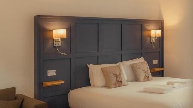 Une chambre à coucher avec une tête de lit sombre, un lit avec une literie blanche, deux lampes de chevet, une table de chevet en bois et un tapis gris.