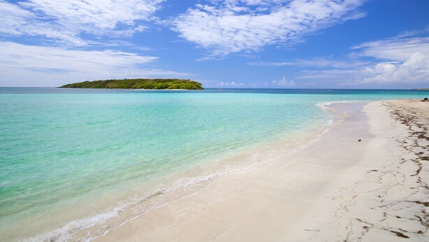 A beach with clear turquoise water, a sandy shore, and a small island in the distance. - 212A-HOUSE TENT & GET 60-10 = 50 BIOBAY TOUR TEXT 787 614-5678 DATE-NAMES-EMAIL (Esperanza)