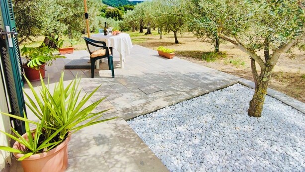 An outdoor patio area with a table and chairs, surrounded by olive trees and potted plants. - Garin Knoll (Bolsena)