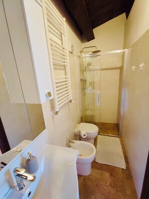 Hair dryer, bidet, towels, soap