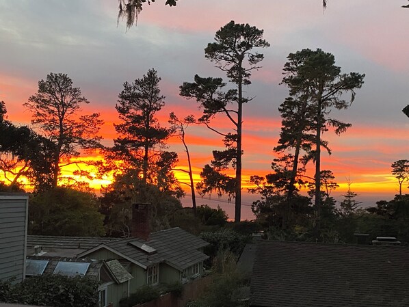 A sunset with trees and houses in the foreground. - Carmel Dolores Cottages (Carmel)