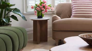 Fernseher, Kamin, Arbeitsbereiche