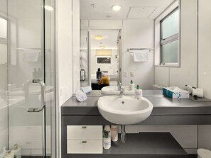 Shower, hair dryer, towels