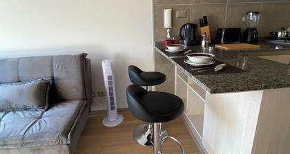 NEW APARTMENT IN INDEPENDENCIA