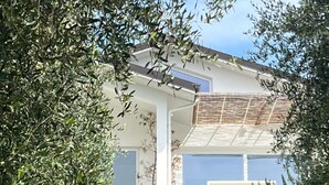 A modern house with a white exterior, a visible garage door, and a garden with various plants and flowers.