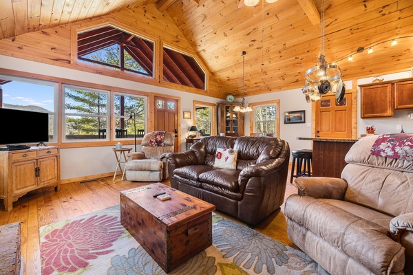 Smart TV, chimenea, reproductor de DVD y libros