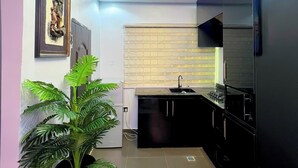 Una cucina moderna con mobili neri, piano cottura integrato e lavello. Si nota una pianta in vaso e un quadro appeso al muro.
