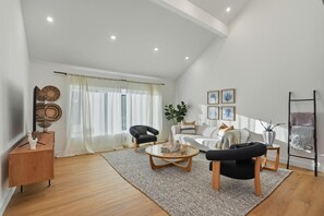 Télévision, cheminée, livres, espaces bureaux