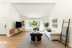 Fernseher, Kamin, Bücher, Arbeitsbereiche