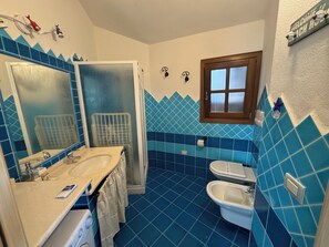 Shower, hair dryer, bidet, towels