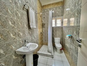 Regadera, secadora de cabello, bidet, toallas 