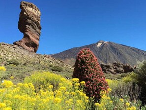 View from property - Apartment for 4 People in Tenerife (Santiago del Teide)