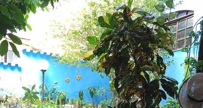 Pousada Plantar e Cuidar