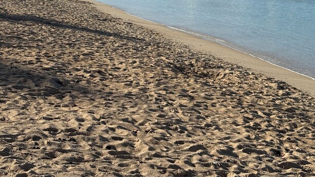 A beach with a sandy shore and calm water.
