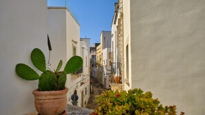 A narrow street with white buildings, a cactus plant, and a potted plant with flowers. - A CASA DI BARBARA A love nest in the heart of Galatina (Galatina)
