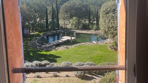 Vista a través de una ventana de un jardín con un estanque, árboles y una terraza de madera.
