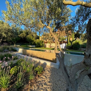 Property grounds - Villa Benéche at the foot of the Luberon in the village of Vaugines (Vaugines)