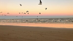 A beach with a clear sky and birds flying.