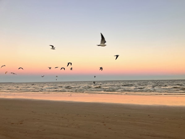 Una playa cerca