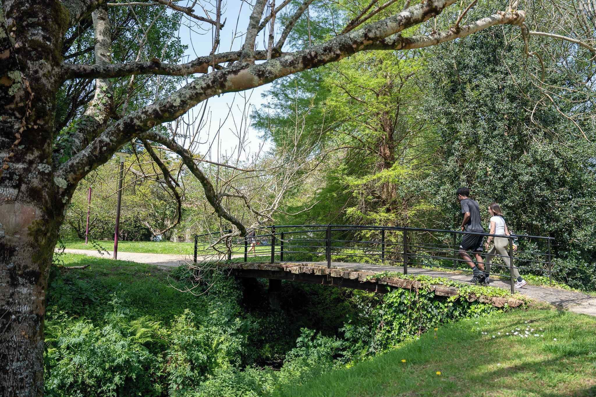 Een stenen brug over een beek in een park met groen en bomen.