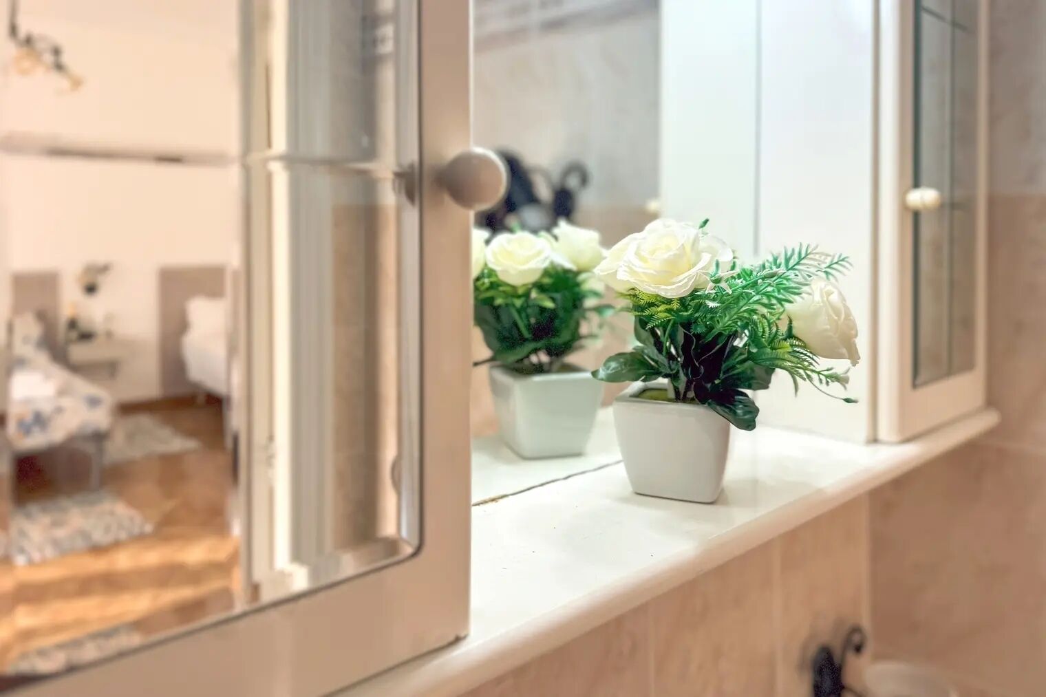 Une salle de bain avec un miroir, un lavabo et deux plantes en pot sur le comptoir.