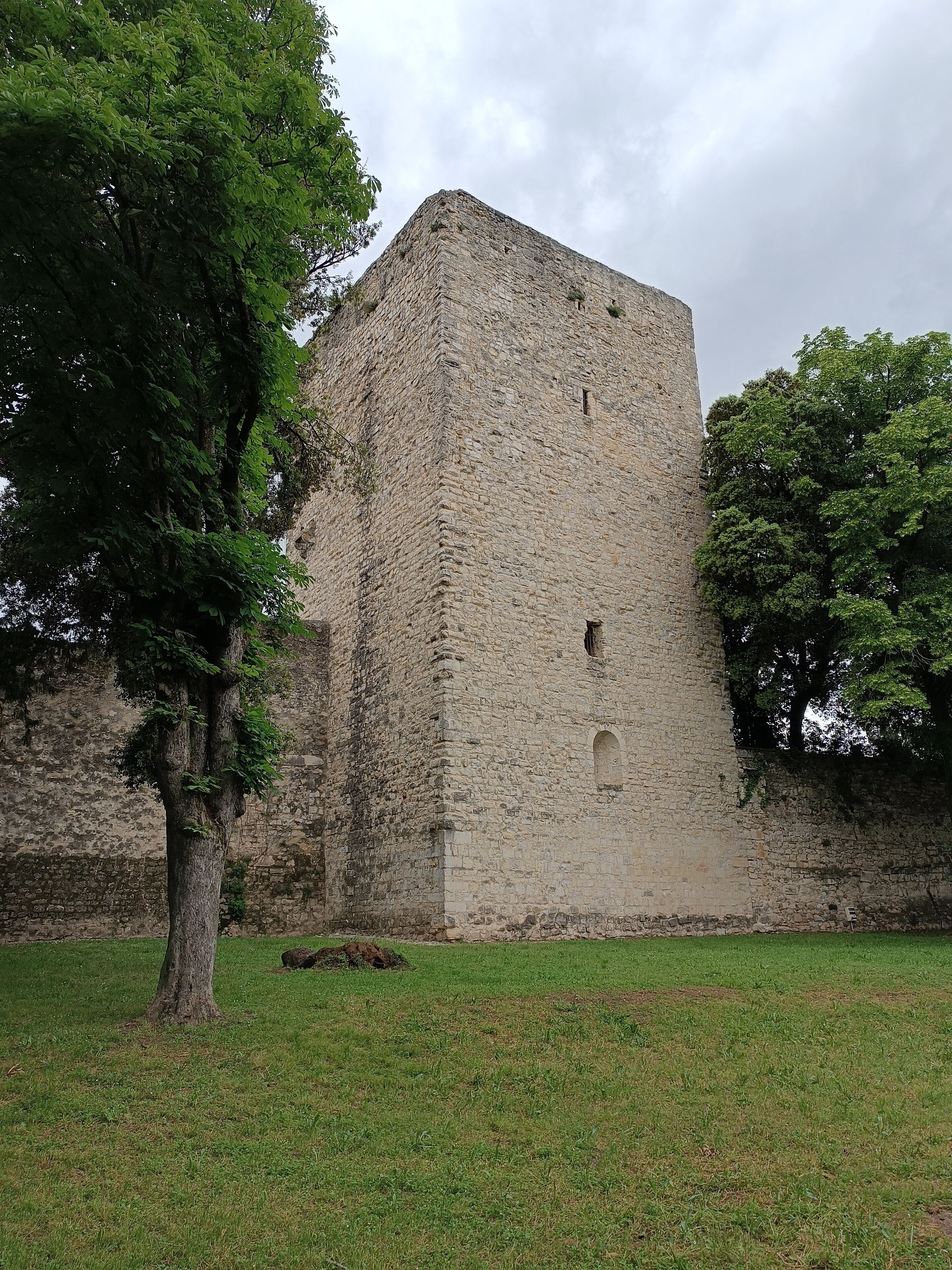 Un edificio de piedra histórico con un gran árbol en primer plano.