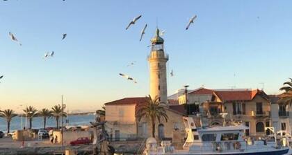 L'Escapade Salée - A 100 mÚtres de la plage et en plein coeur de ville