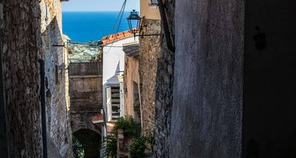 Large panoramic sea view terrace, stone shower, excellence vacation.