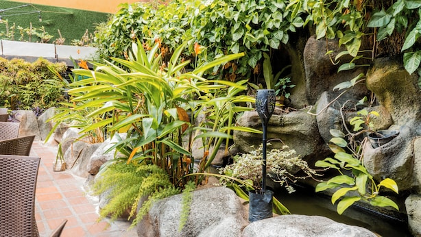A garden area with a pond, rocks, and various plants. - Hotel El Arroyo (Caracas)