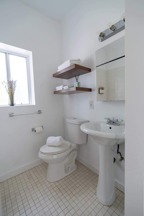 Shower, hair dryer, shampoo