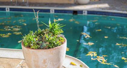 Mid-Century Modern Elegance in Hollywood w Parking