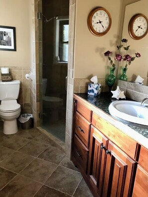 Bathroom features a toilet, sink, and shower, along with a vanity and mirror.