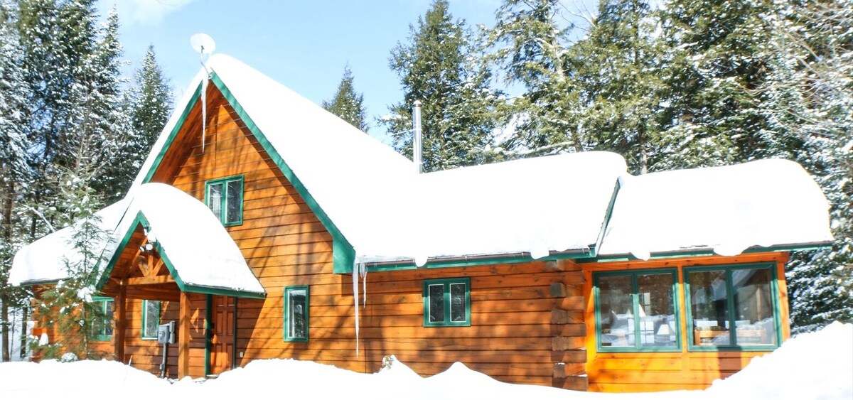 Imagen de perfil del propietario o de la propietaria