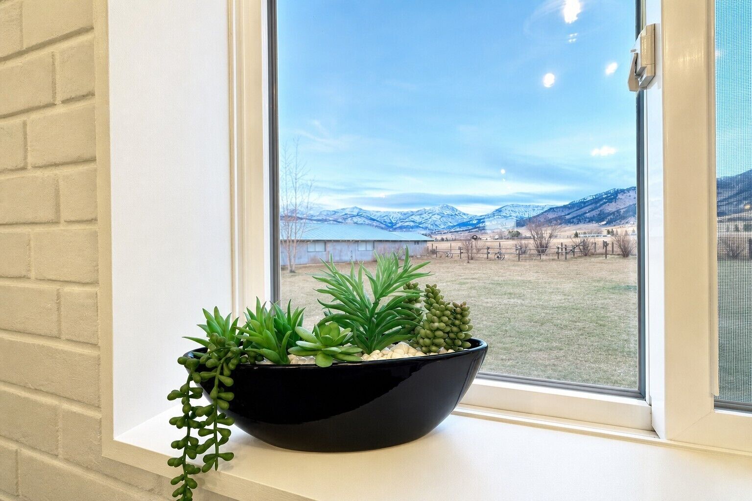 A black bowl with green plants on a windowsill, overlooking a snowy landscape with mountains and a fence.
