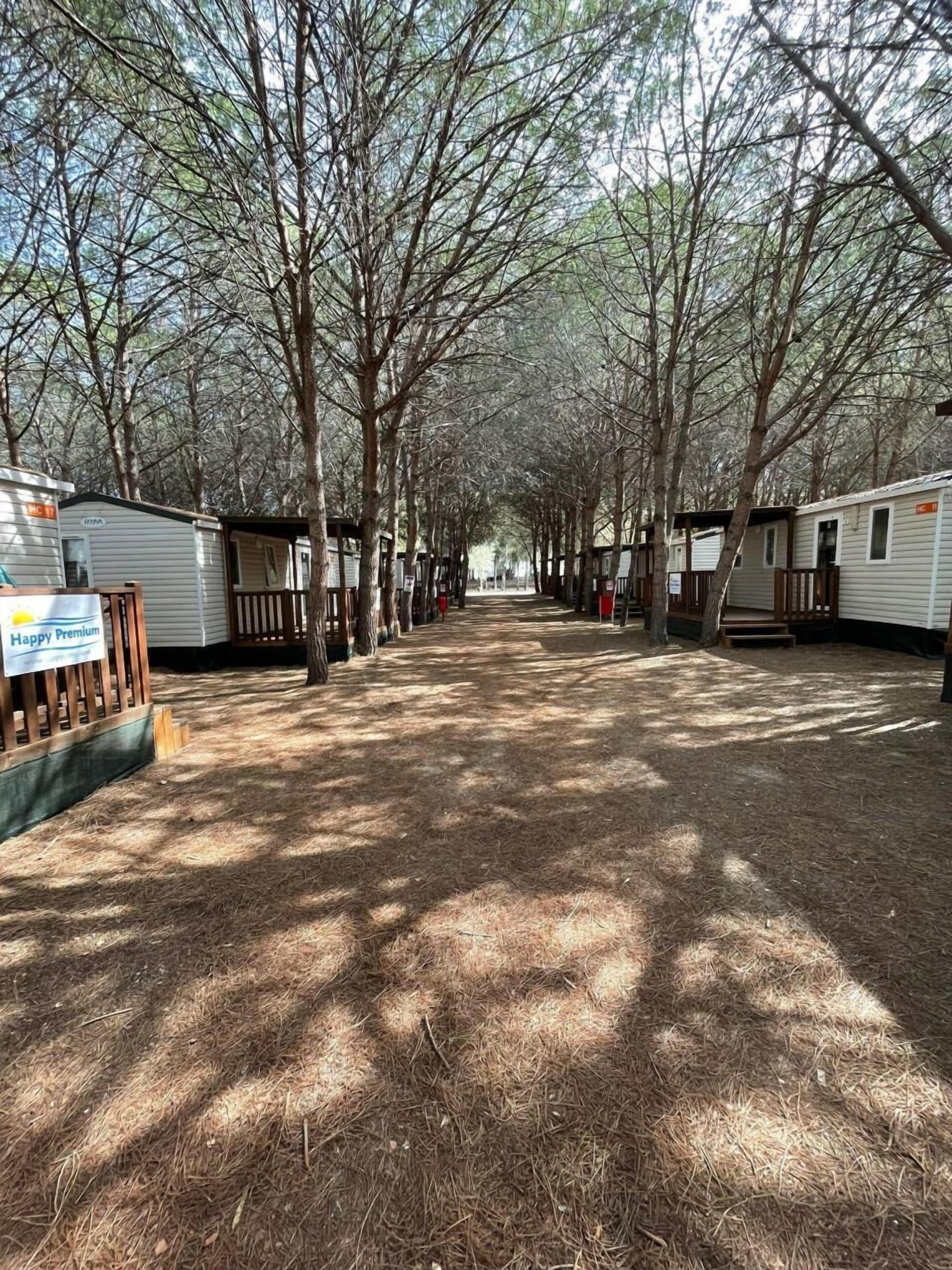 A row of RVs and mobile homes with a covered walkway, surrounded by trees.