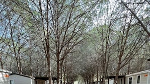 Een rij campers en woonsuiten, met een overdekte doorgang, omringd door bomen.