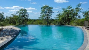En vacker, välvd swimmingpool med en kant av sten, omgiven av frodig grönska och träd.
