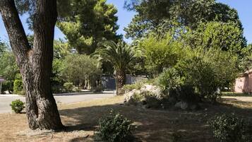 Ărea da propriedade