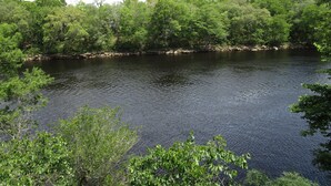 A river surrounded by dense green foliage. - Charming hotel in Mayo with AC, WiFi, fitness room (Mayo)