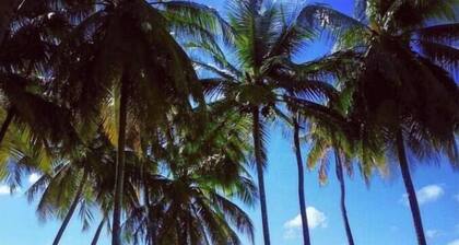 Driftwood Beach Cottage