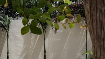 Condo, Multiple Beds, Pool Access, Pool View (Ka'an 06 ) | Terrace/patio