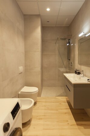 Shower, hair dryer, bidet, towels