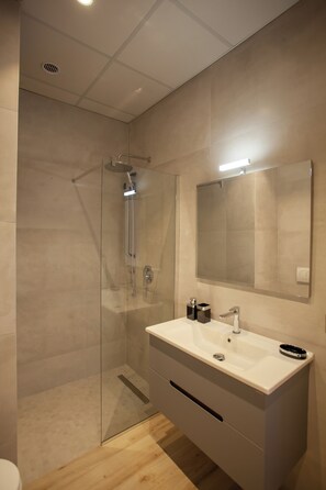 Shower, hair dryer, bidet, towels