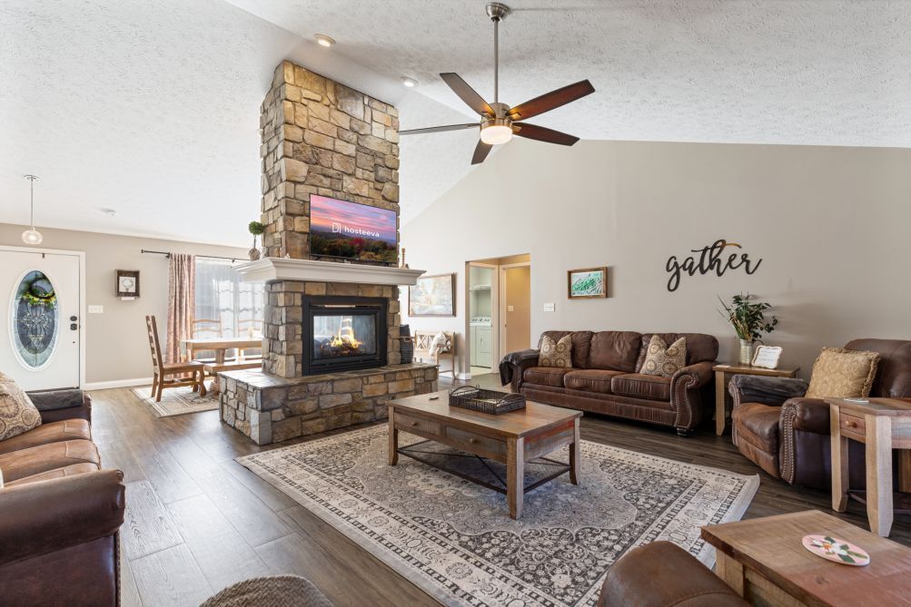 TV, fireplace, video games, table tennis