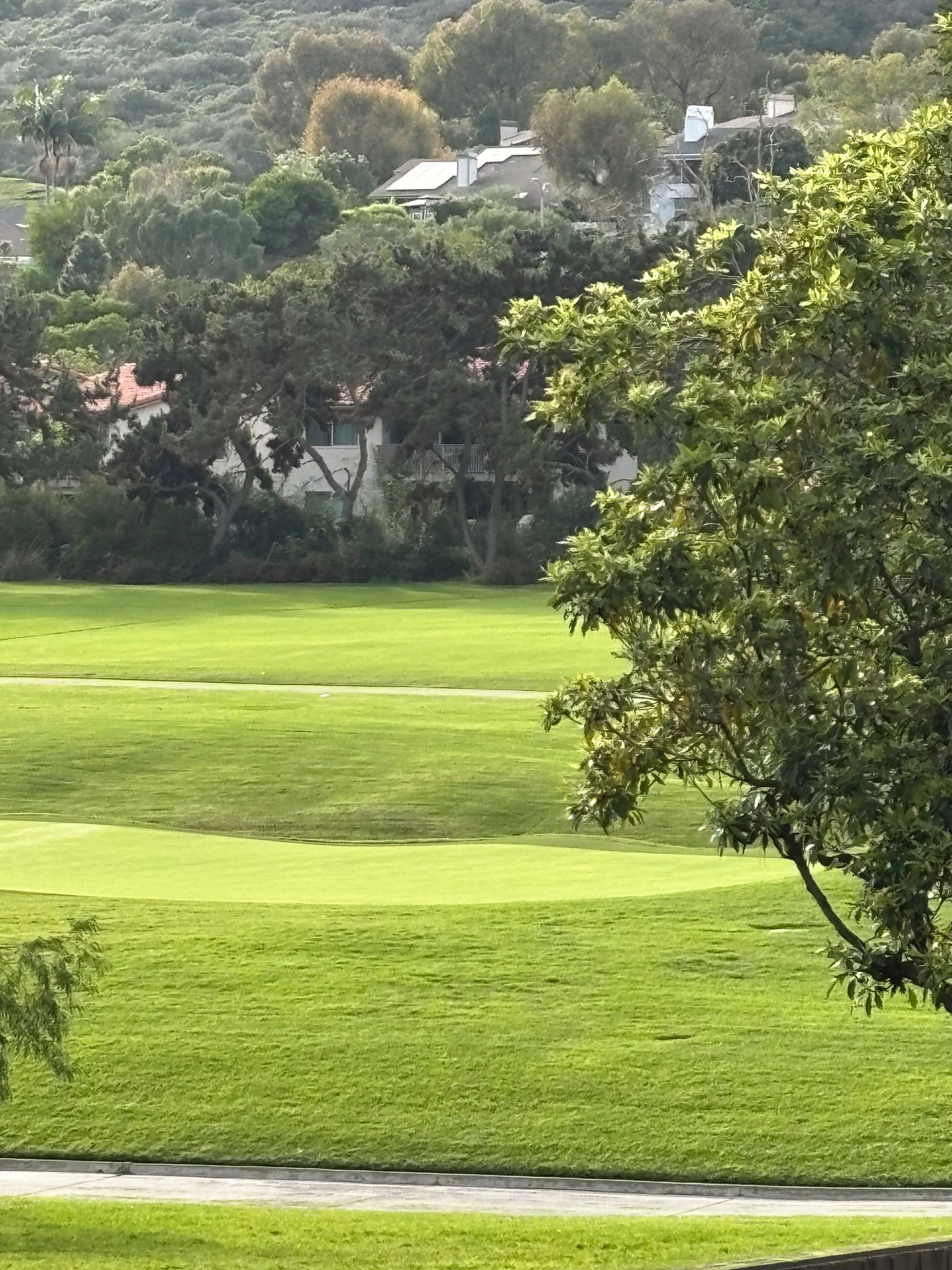 A golf course with well-maintained grass, a tree-lined background, and a building with a red roof.